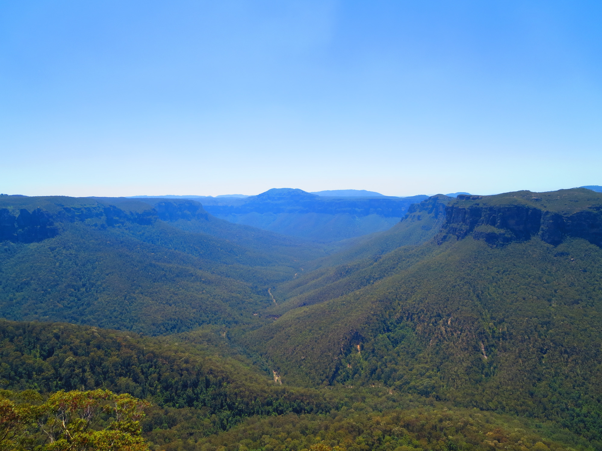 Australie Blue Mountains A 041